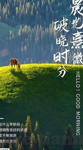 91麻豆精品国产自产绯色-边界之舞，浅谈国产影视内容创意的多样性与社会影响