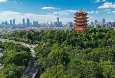 大象传媒官网是多少-探寻大象传媒的数字门户，官网之旅