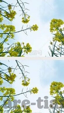 麻豆啊传媒app官-麻豆啊传媒，重塑数字娱乐的边界