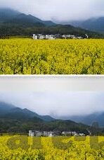 麻豆果冻传媒2021精品-麻豆果冻传媒2021精品——视觉与创意的年度盛宴
