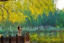 麻豆文化传媒有限公司招聘-麻豆文化传媒有限公司招聘启航新篇章