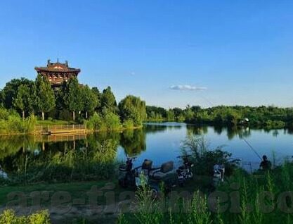 欧美伦理理电影在线-欧美伦理电影的在线探索，人性、道德与艺术的交织