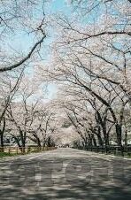 日韩亚洲av-探索日韩文化中的影视艺术，亚洲AV的多元视角