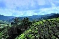 sihu影院麻豆av-一探sihu影院的多元文化与渠道
