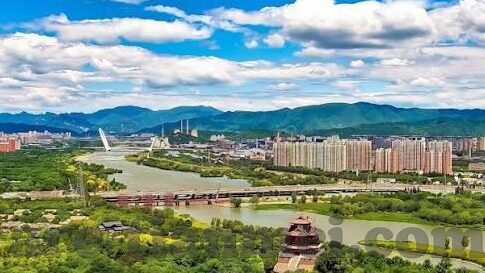 台湾大象传媒-台湾大象传媒，文化桥梁与创意先锋