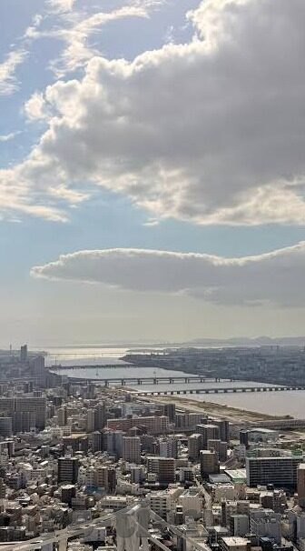 糖心vlog激活码2022-2022年最新！糖心Vlog如何获取激活码的全面指南