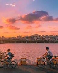 糖心vlog激活码购买-话题前沿，探寻糖心Vlog激活码的购得之道